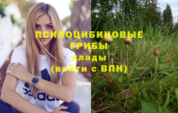 мяу мяу мука Балахна