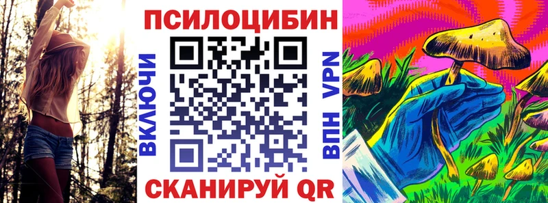 Псилоцибиновые грибы прущие грибы  Фрязино 