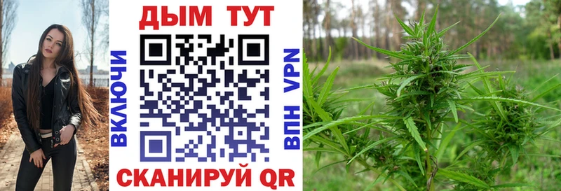 МАРИХУАНА гибрид  блэк спрут ТОР  Фрязино 